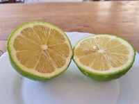 Limón